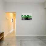 Apartamento Moderno A 200M Da Praia | Nsc 534/904